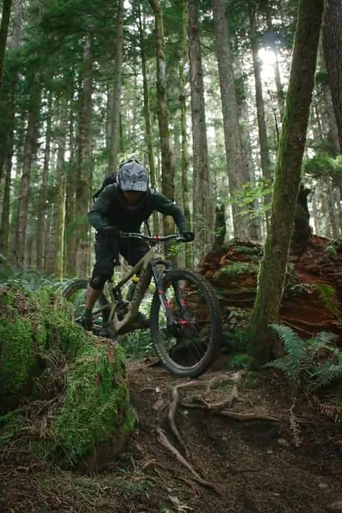 Zdjęcie poglądowe dla wyjazdów MTB