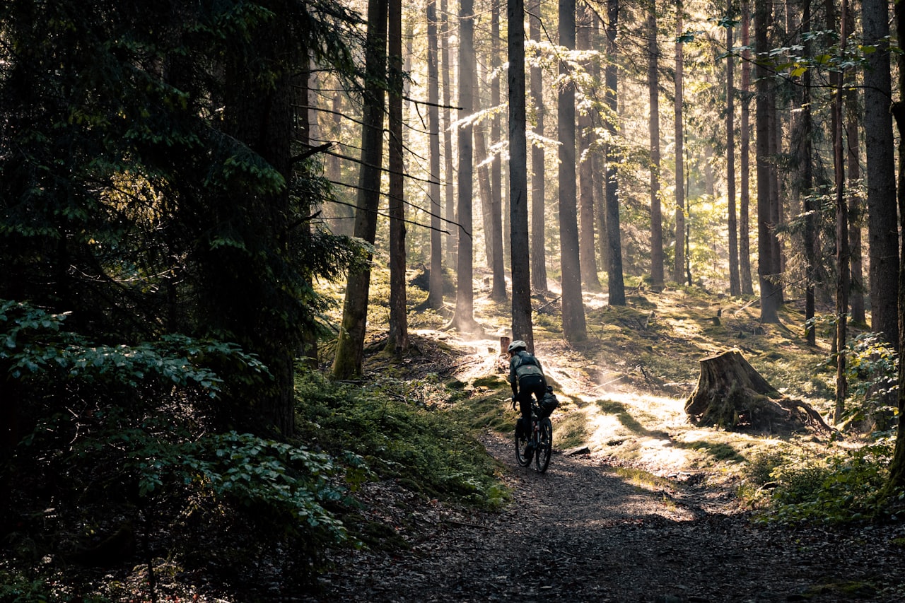 Zdjęcie poglądowe dla wyjazdów bikepackingowych